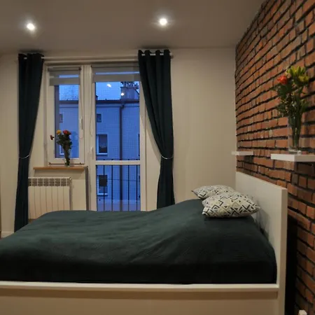 Luksusowy Apartament Chorzow, Blisko Stadion, Katowice I Spodek 霍茹夫