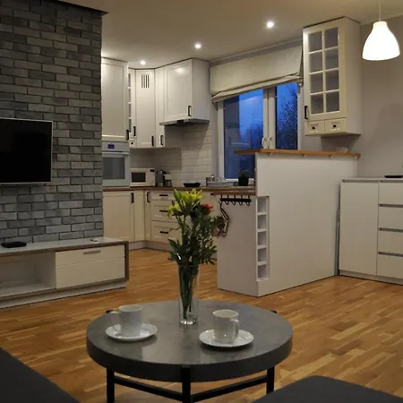 Luksusowy Apartament Chorzow, Blisko Stadion, Katowice I Spodek 公寓 *