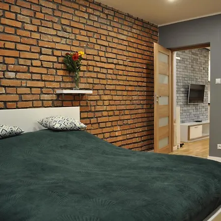 Luksusowy Apartament Chorzow, Blisko Stadion, Katowice I Spodek 霍茹夫