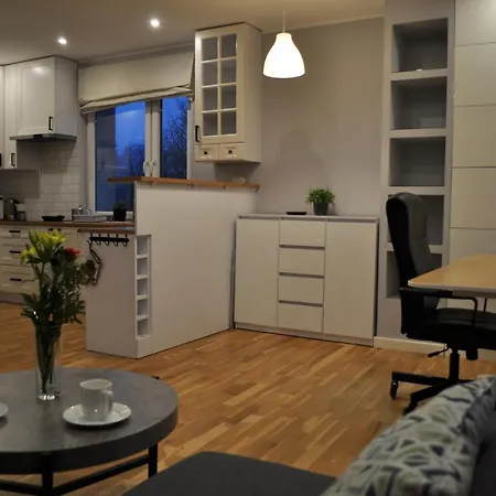 Luksusowy Apartament Chorzow, Blisko Stadion, Katowice I Spodek 公寓 霍茹夫