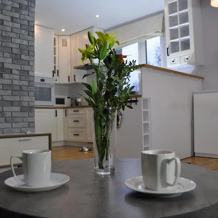 Luksusowy Apartament Chorzow, Blisko Stadion, Katowice I Spodek * 霍茹夫